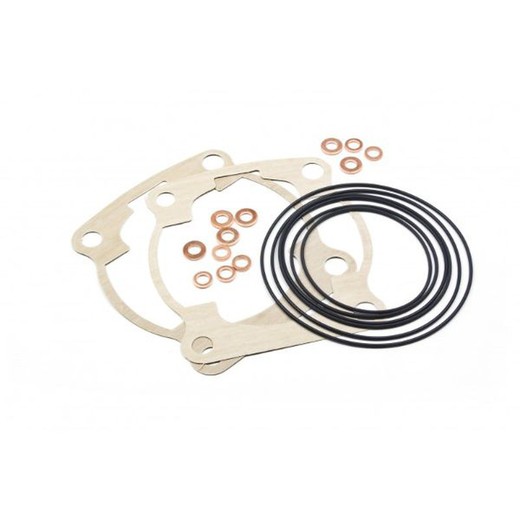 Kit Juntas e O-rings Motor Superior SCORPA 250/300 2015 ou posterior.