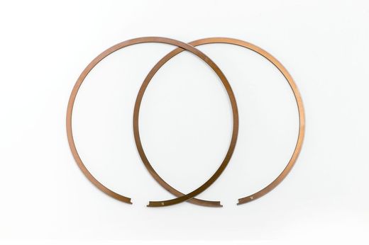 Fasce elastiche Trial 300cc