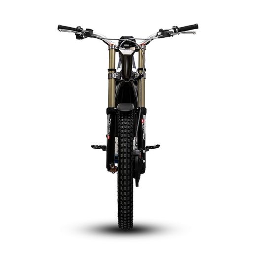 Elektroantrieb Epure Factor-E (2,5 kW)