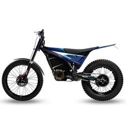 Échappement à mouvement électrique R