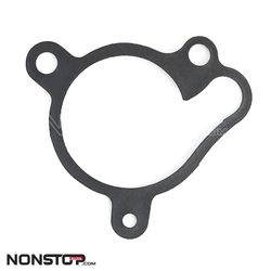 Guarnizione Pompa Acqua Trrs 2019-2023