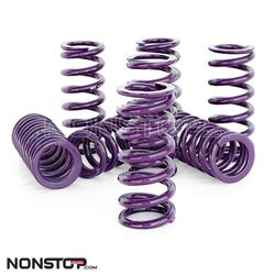 Molla Reiger per Ammortizzatore