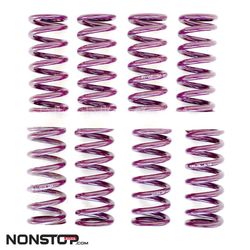 Molla Reiger per Ammortizzatore