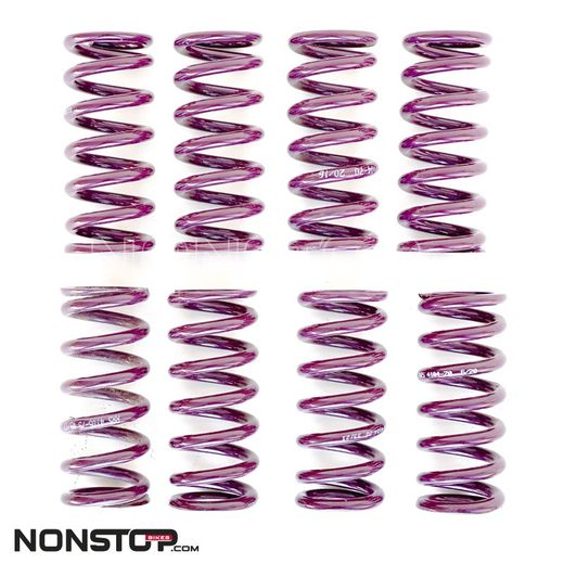 Molla Reiger per Ammortizzatore