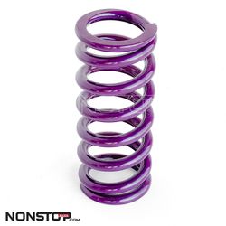 Molla Reiger per Ammortizzatore