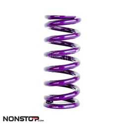 Molla Reiger per Ammortizzatore