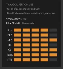 Pastiglie freno posteriori Beta Evo Galfer sintetizzate Trial FD428-G1395