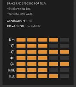 Beta Evo Galfer Trial FD428-G1805 Bremsbeläge hinten