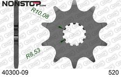 Piñón de Transmisión para Beta Evo , Rev3 y Techno Trial