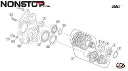 Pignone di trasmissione per Gas Gas, TRRS, Vertigo Trial