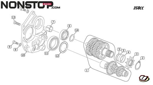 Pignone di trasmissione per Gas Gas, TRRS, Vertigo Trial
