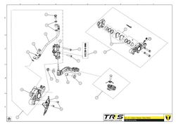 Protezione disco freno posteriore TRRS 2016-2023