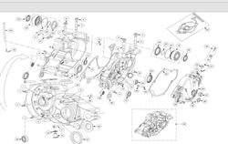 Kit cuscinetti albero motore NAS GASGAS TXT Trial 2002 - 2018 / TRRS Trial 2016 - 2018