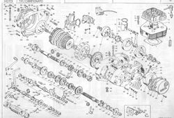 Ritzeldichtung Ausgang Beta TR34 - Beta TR32 - Beta TR33 106456