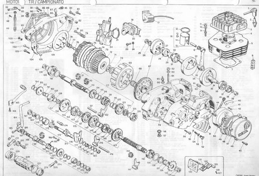 Ritzeldichtung Ausgang Beta TR34 - Beta TR32 - Beta TR33 106456