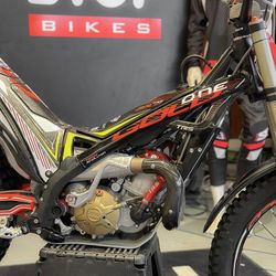 TRRS RR 250 GOLD 2021