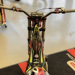 TRRS RR 250 GOLD 2021