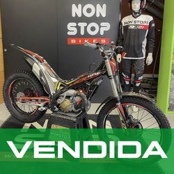 TRRS RR 250 GOLD 2021